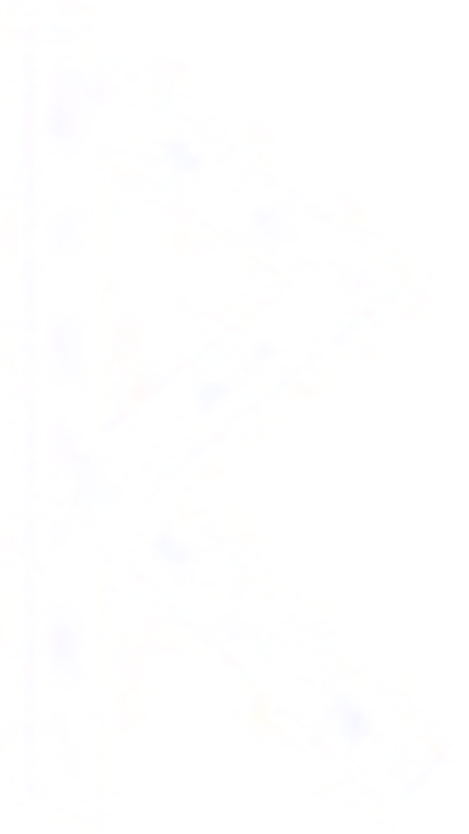 Raidho rune